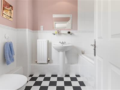 Picture 12